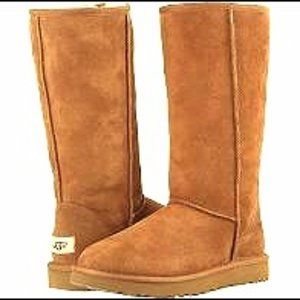 UGG W Classic Tall - Chestnut